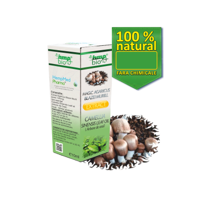 Magic Agaricus Blazei Murill Extract Camellia Sinensis Leaf Oil (Arbore de ceai)