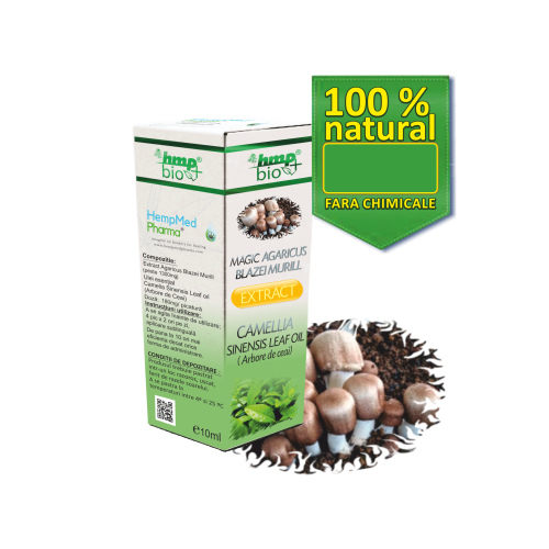 Magic Agaricus Blazei Murill Extract Camellia Sinensis Leaf Oil (Arbore de ceai)